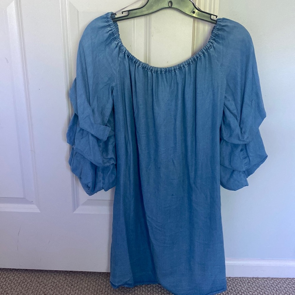 Zara Denim Dress